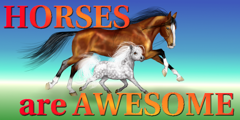 Horses Are Awesome!